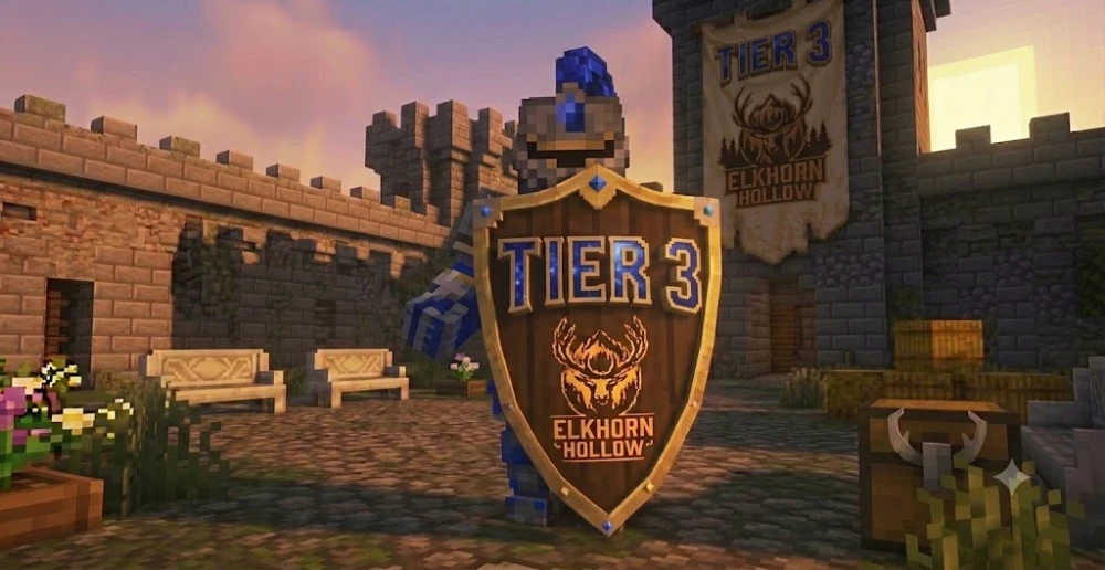 Tier 3
